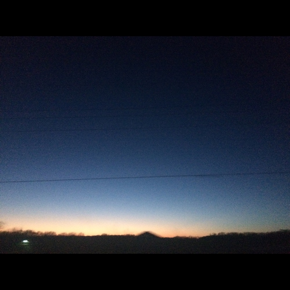 Meet your Posher, Maya